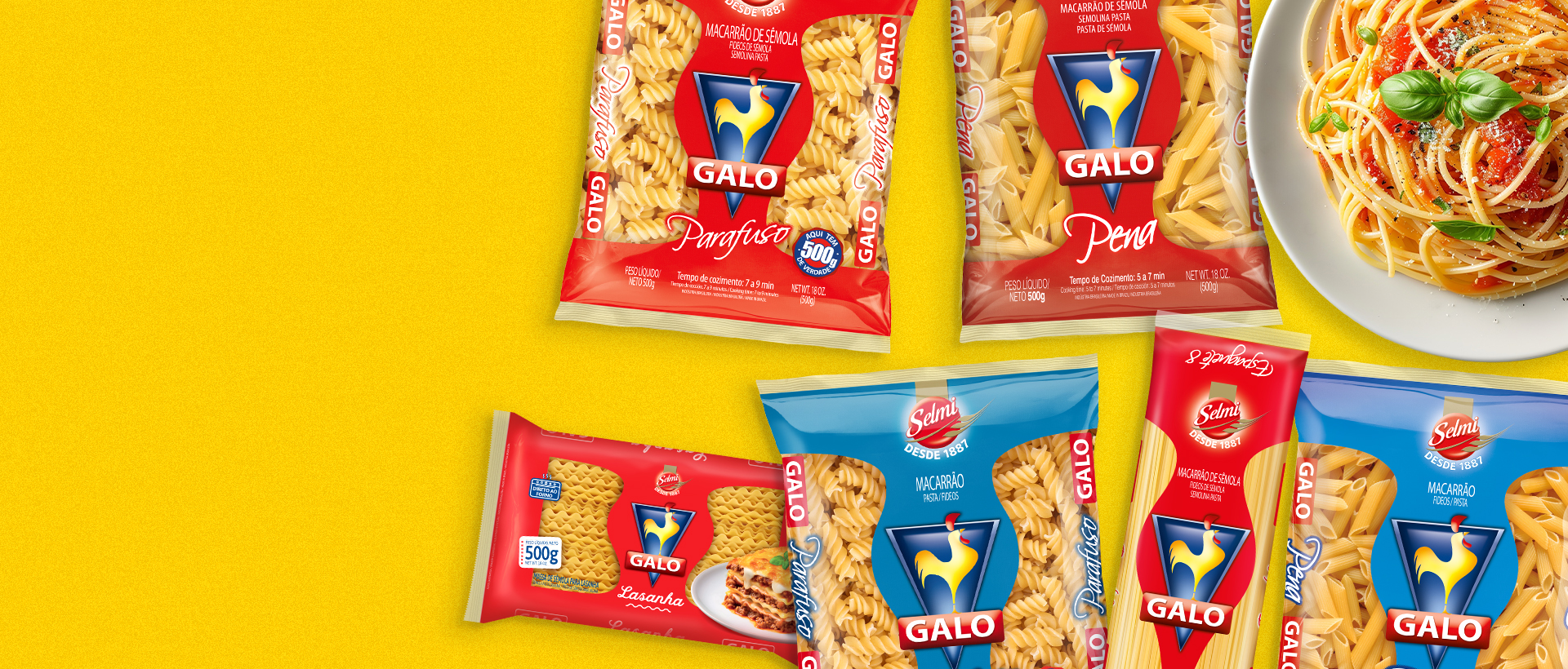 Banner Galo, la pasta de Brasil